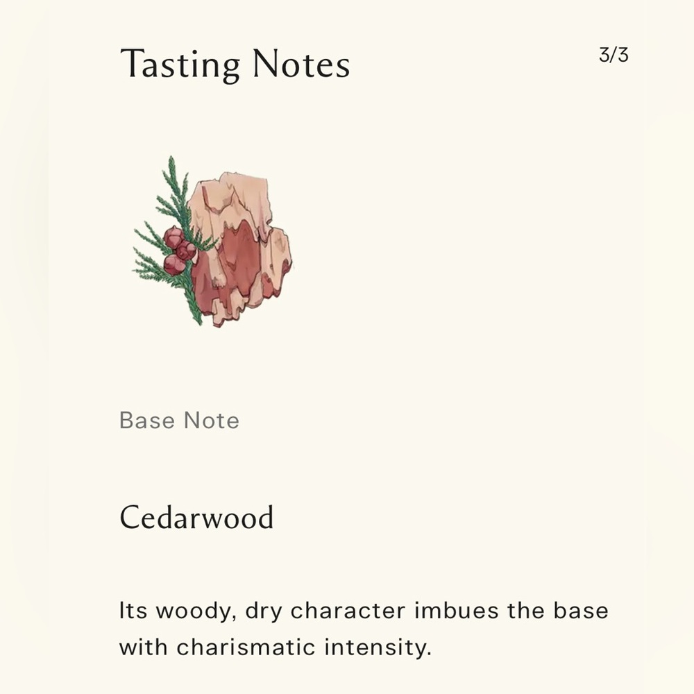 Jo Malone Salty Amber - Limited Edition - Picture 4 of 4